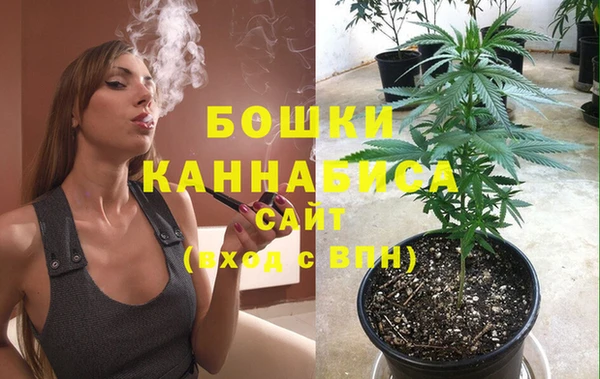дмт Богородицк
