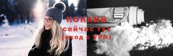 дмт Богородицк